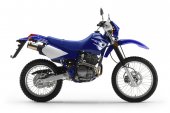 2007 Yamaha TTR250 photo